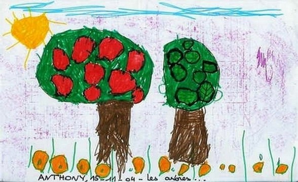 Les tutos de monsieur Fraize - (8) Planter un arbre