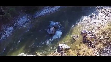 INFOWARS Nightly News Jakari Jackson Special Reports 2