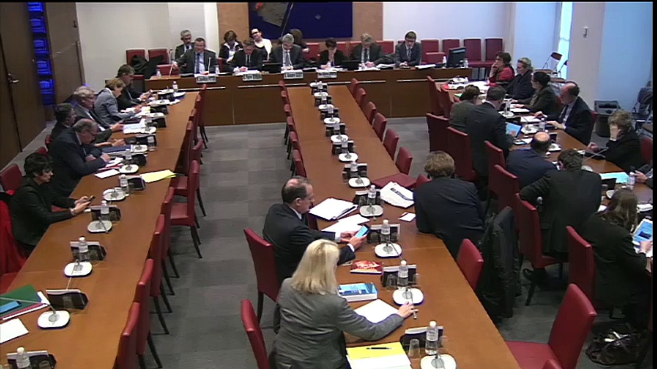 Intervention en Commission des Affaires Sociales - PL Travail - Audition des organisations d'employeurs