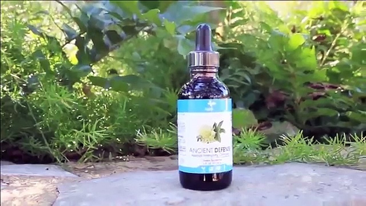 INFOWARS Nightly News Jakari Jackson Special Reports 18