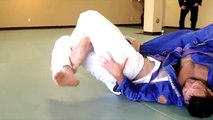 BJJ Jiu Jitsu Explained 46