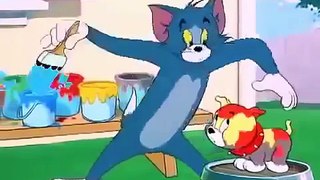 Tom And Jerry Cartoon in Urdu