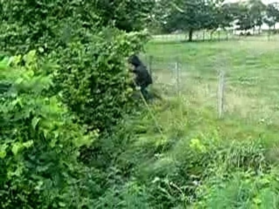 saut dans les buissons 7