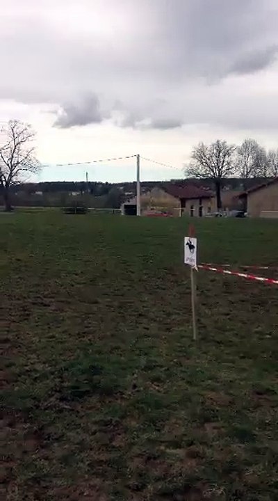 video-1459413631