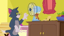 Tom et Jerry et le haricot géant | Tom et Jerry | Boomerang