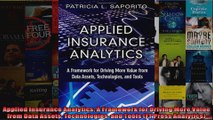 Applied Insurance Analytics A Framework for Driving More Value from Data Assets