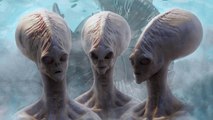 5 Alien Species in Contact With Earth Right Now