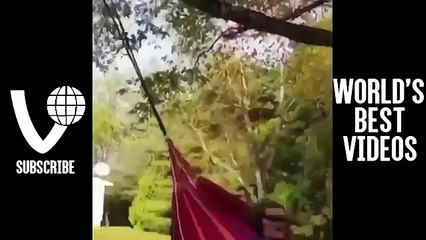 Funniest Vines of 2016 -- World's Best Videos -