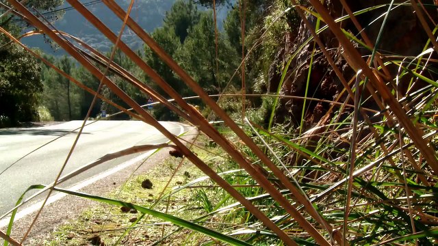 Audi TT Coupe Cabriolet Interior, Exterior and Drive