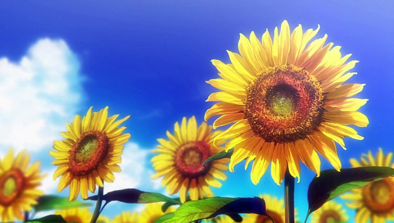 Musaigen no Phantom World 10 vostfr [720p]