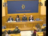 Roma - Caso Budroni - Conferenza stampa di Daniele Farina (31.03.16)