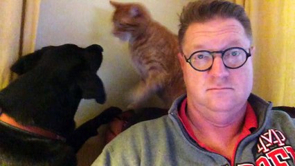 Un dimanche matin avec son chat et son chien