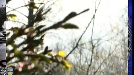 Sexto Sentido Ángeles y Demonios