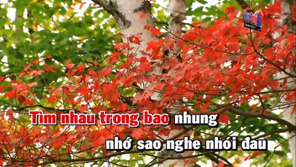 ( Karaoke ) Nếu Như Ngày Đó - Lệ Quyên - beat gốc - andykaraoke.website