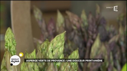 Asperge verte de Provence : une douceur printanière