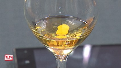Luçon : s'initier à la dégustation du whisky
