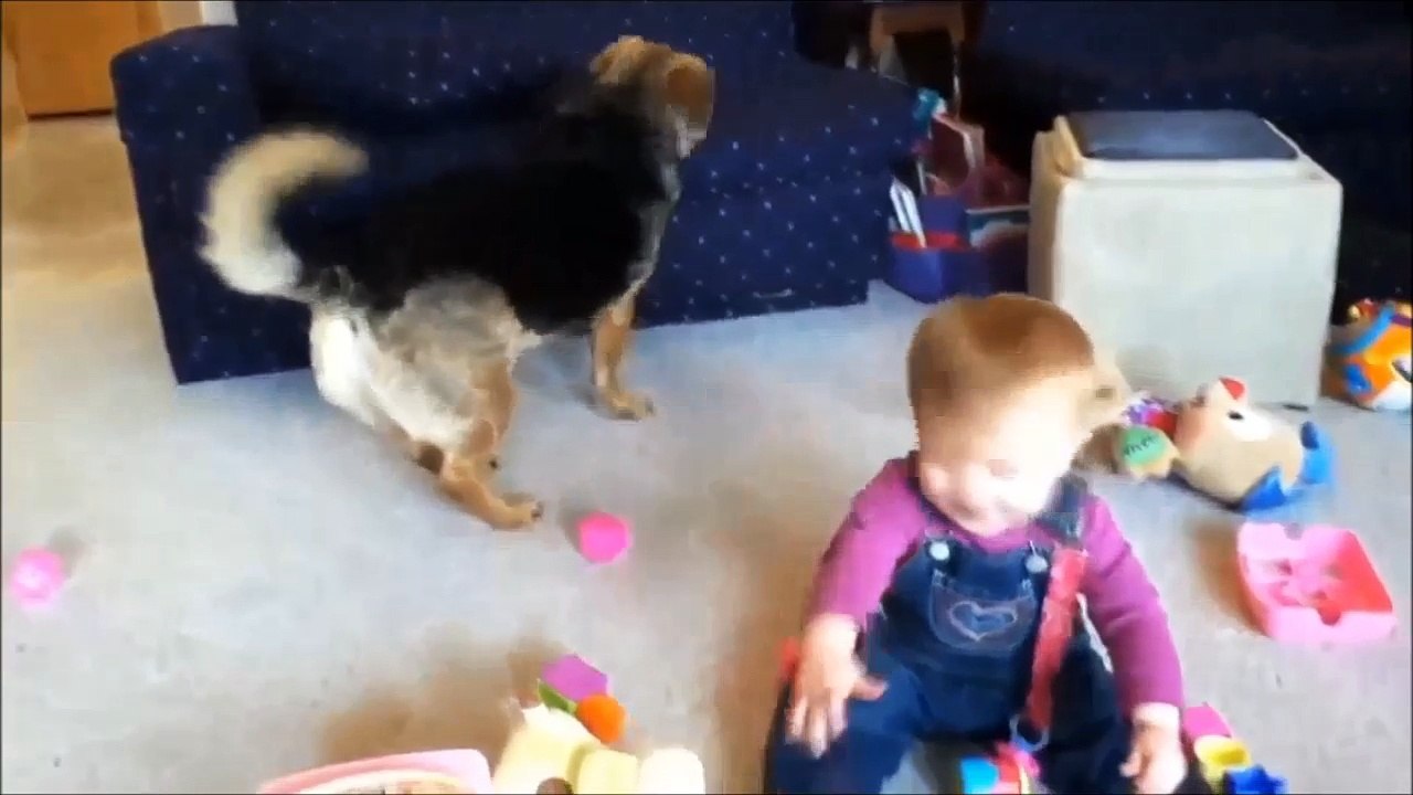 Funny babys