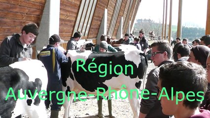 Challenge Inter-lycees de jeunes meneurs 2016