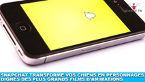 Snapchat transforme vos chiens en personnages dignes des plus grands films d'animations ! Maintenant dans la minute chien #175