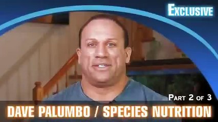 Dave Palumbo Bodybuilding Diet Tips Part 2