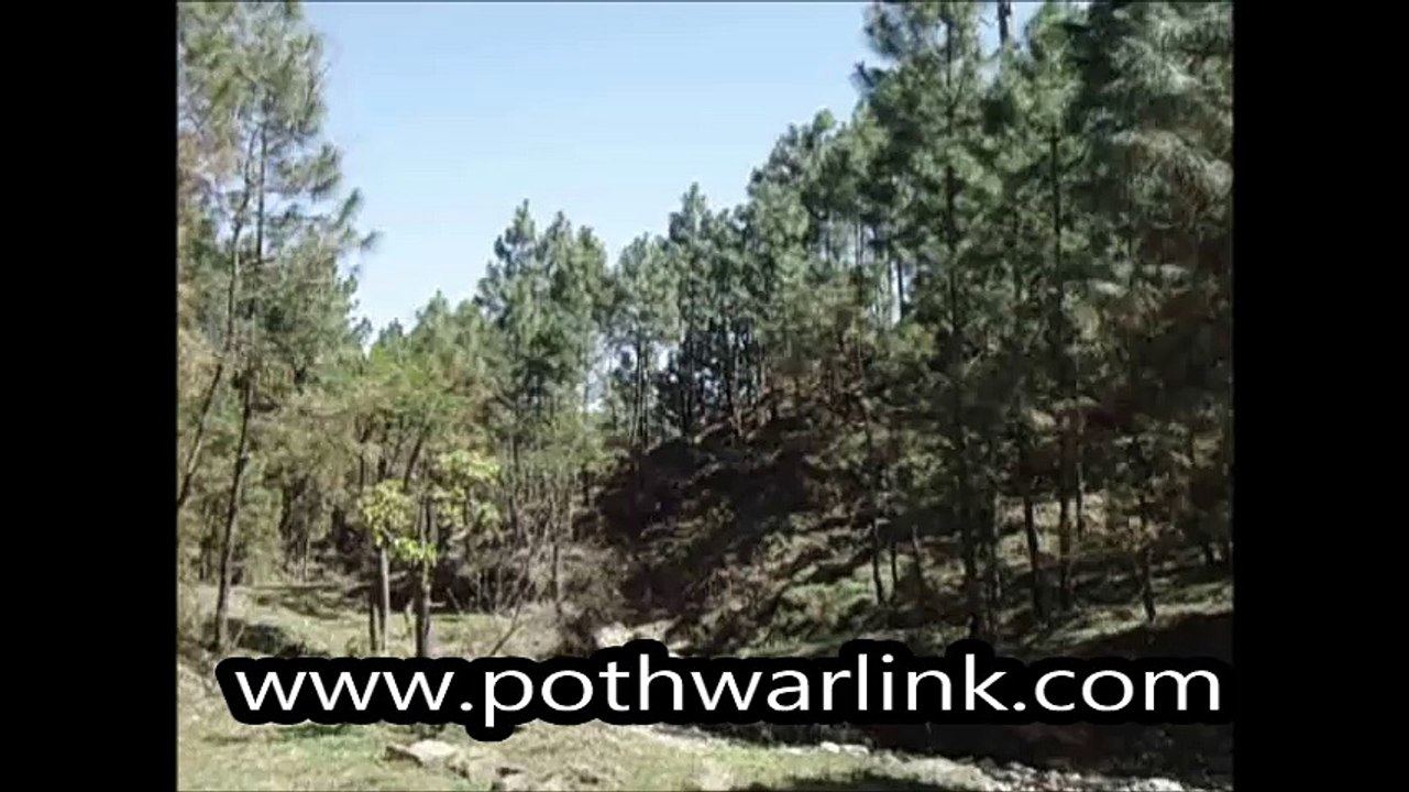 kahuta