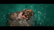 ---THE SHALLOWS - Official Trailer - IN CINEMAS AUGUST 18