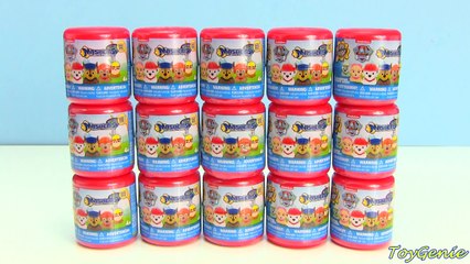 *NEW* Paw Patrol MASHEMS Full Set with Chase, Marshall, Skye and More