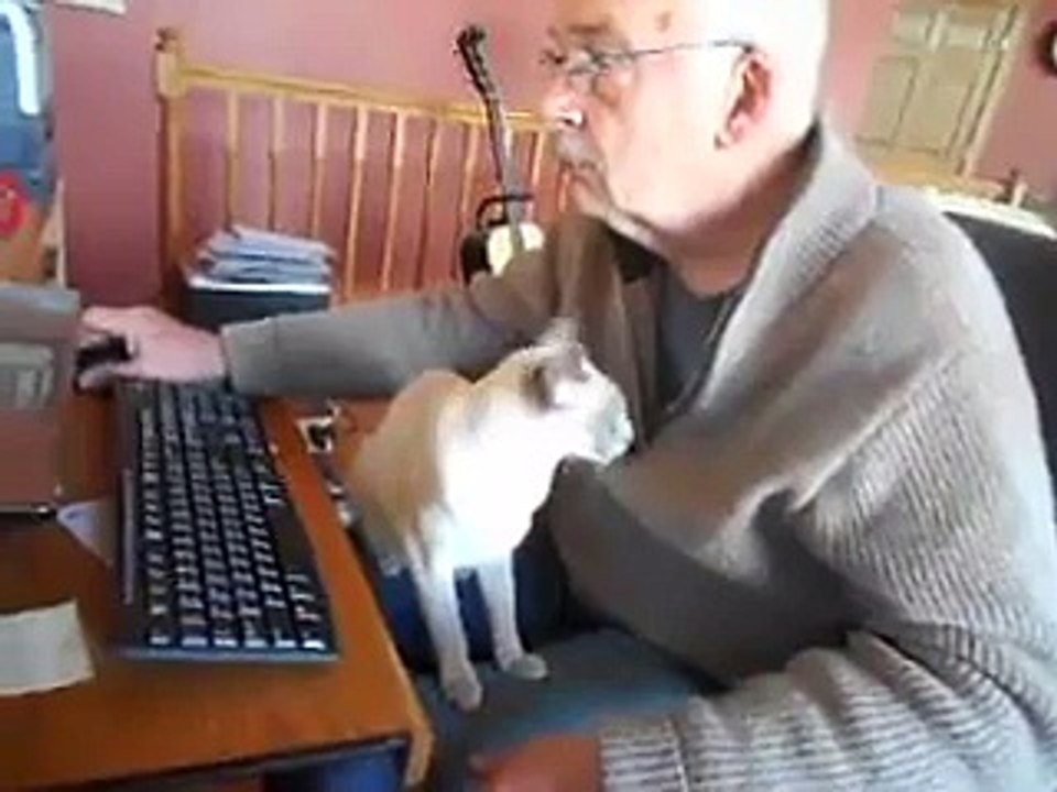 Quand ton chat se prend pour un kangourou et veut dormir dan