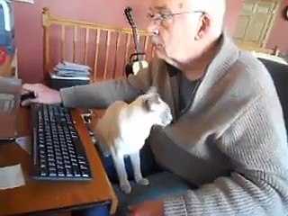 Quand ton chat se prend pour un kangourou et veut dormir dan