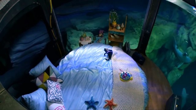 Dormez au milieu des requins avec la tout première chambre sous-marine lancée par Airbnb