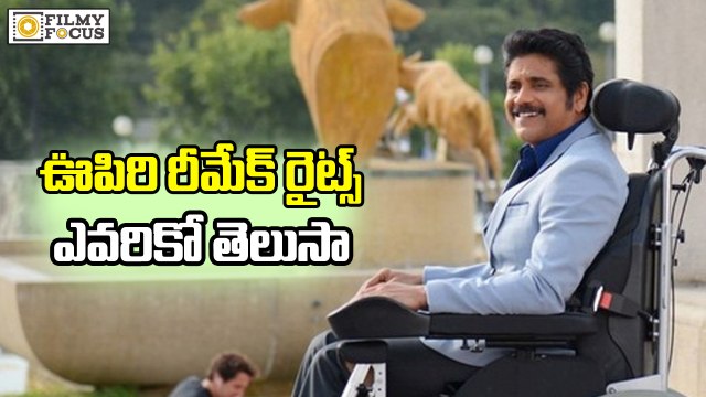 Karan Johar Grabs Hindi Remake Rights of Oopiri Movie - Filmyfocus.com