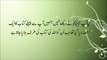 Beautiful Quran Heart touching Surah Al Imran with Urdu Translation HD
