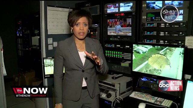 The Now Tampa Bay explains Tarpon Springs sinkhole