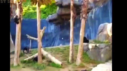 Смешное и прикольное видео 2016 приколы 409 приколюхи и угар