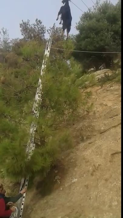 Ils sauvent une chèvre suspendue à des câbles électriques par les cornes !