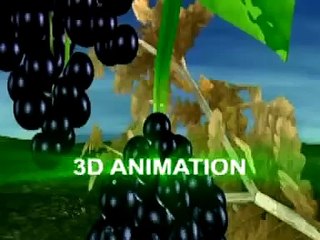 Panchatantra 3d Animation Stories