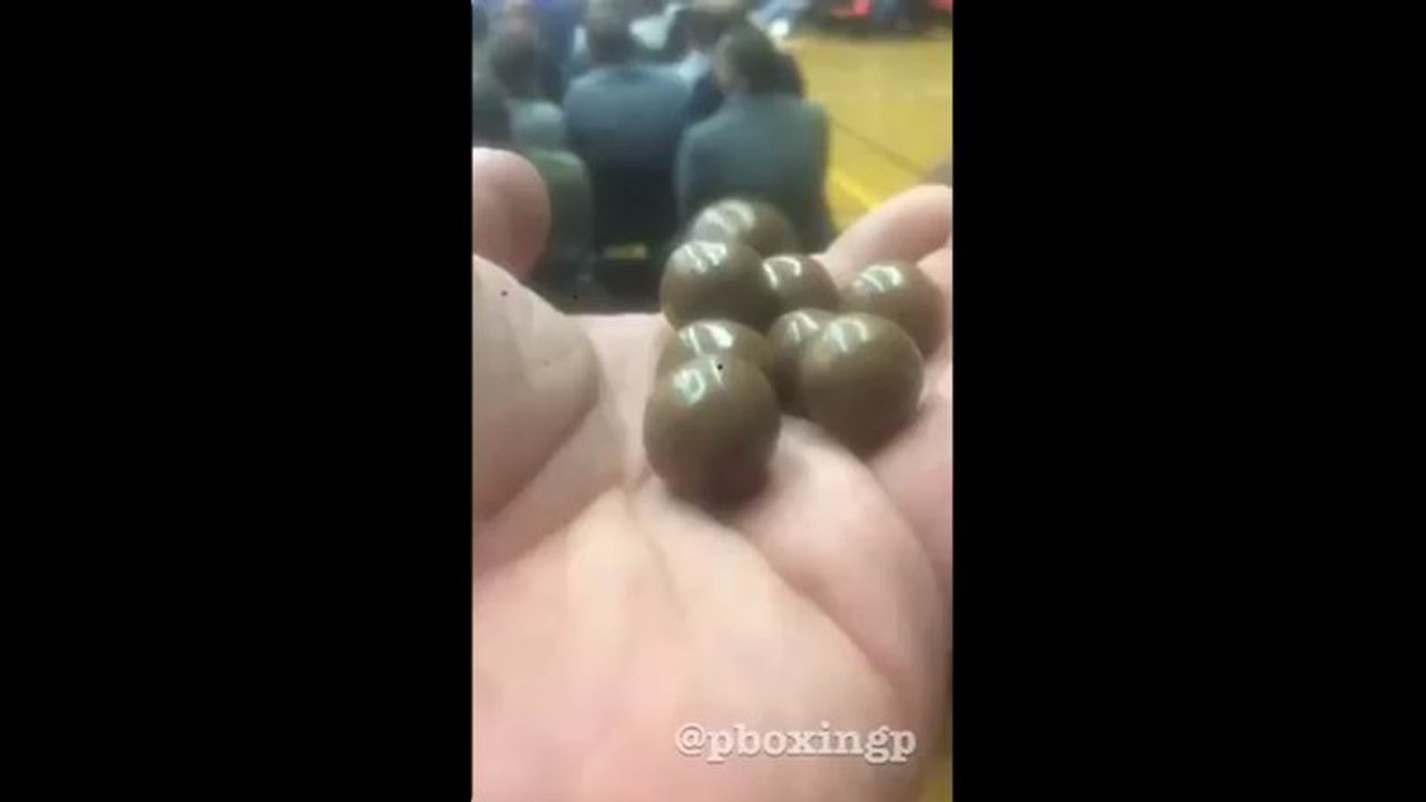 Combien y a t-il de Maltesers ?