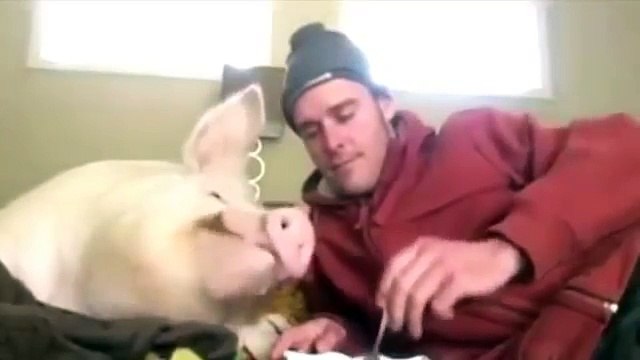 ЛУЧШЕЕ СМЕШНОЕ ВИДЕО УБОЙНЫЕ РЖАЧНЫЕ ПРИКОЛЫ #2016 Best Funny jokes video