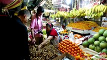 Thailand Food and Fruit Documentary: Our Seed Travels to Thailand