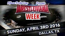 Brock Lesnar V The Undertaker WRESTLEMANIA 30 end of streak