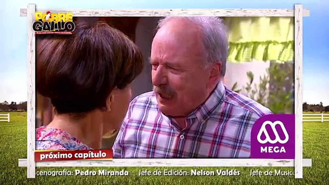 59 Avance PObre Gallo