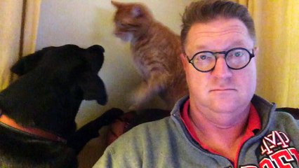 Un dimanche matin avec son chat et son chien