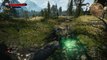The Witcher 3 Wild Hunt - Part 119 - PC Gameplay Walkthrough - 1080p 60fps