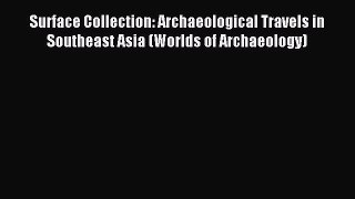 Read Surface Collection: Archaeological Travels in Southeast Asia (Worlds of Archaeology) Ebook