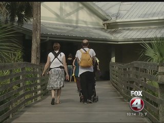 Viral panther video has swamp visitors talking