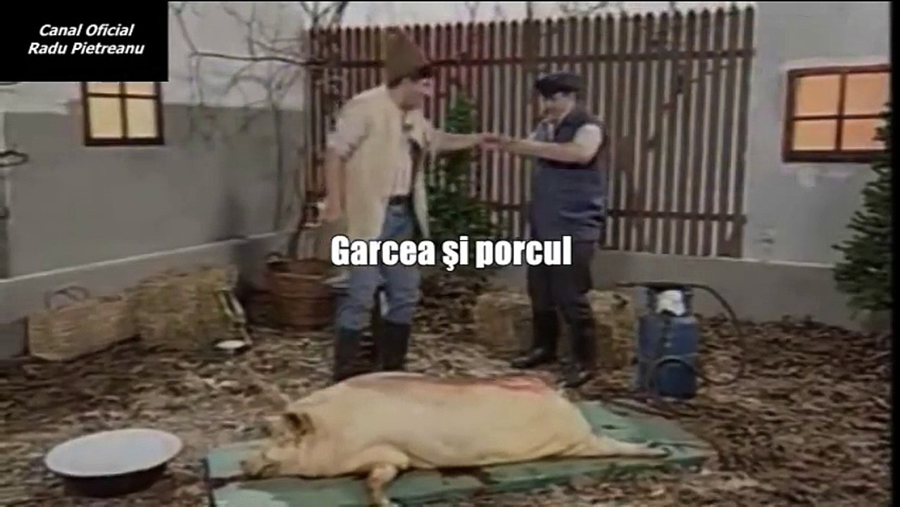 GARCEA SI PORCUL