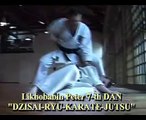Karate and iai - jutsu (part-1) 