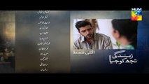 Zindagi Tujh Ko Jiya Eds 25 Promo HUM TV Drama 31 March 2016