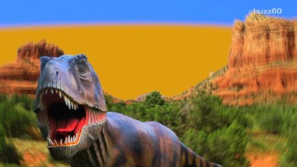 Dinopocalypse crater to be drilled for forensic micro-clues