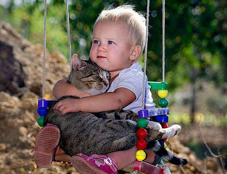 Почему мы любим кошек